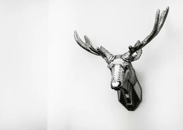 Appartamento Reindeer